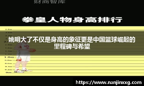 姚明大了不仅是身高的象征更是中国篮球崛起的里程碑与希望