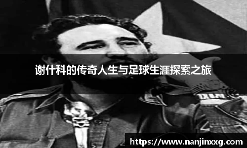 bsports.必一体育官网